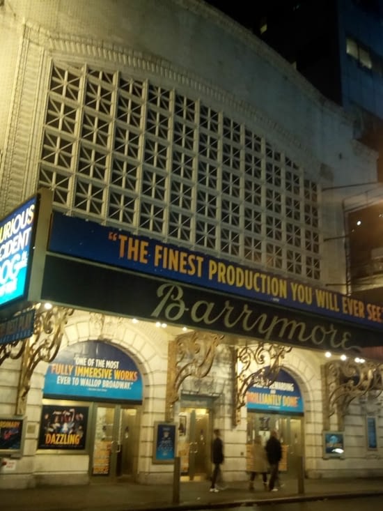 Notre hôtel est dans le quartier des théâtres. Il y a tous les spectacles de Broadway ici !