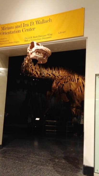Un dinosaure de 33 m de long découvert en Argentine en 2004, ils ont le sens de la mise en scène !