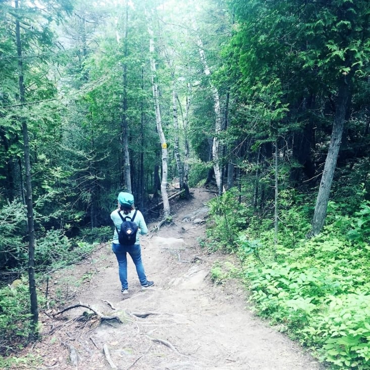 C'est parti pour la grimpette !