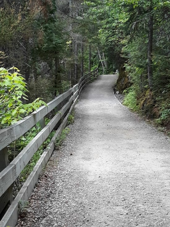 On revient au chemin de départ