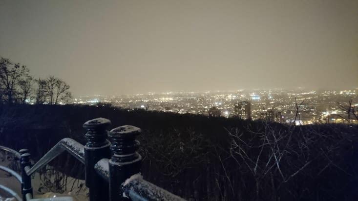 Mont Royal de nuit