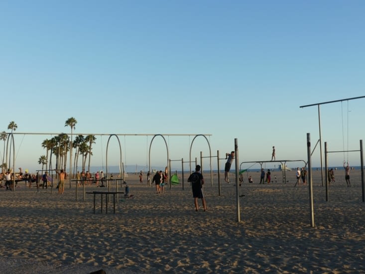 Les sportifs à Muscle beach