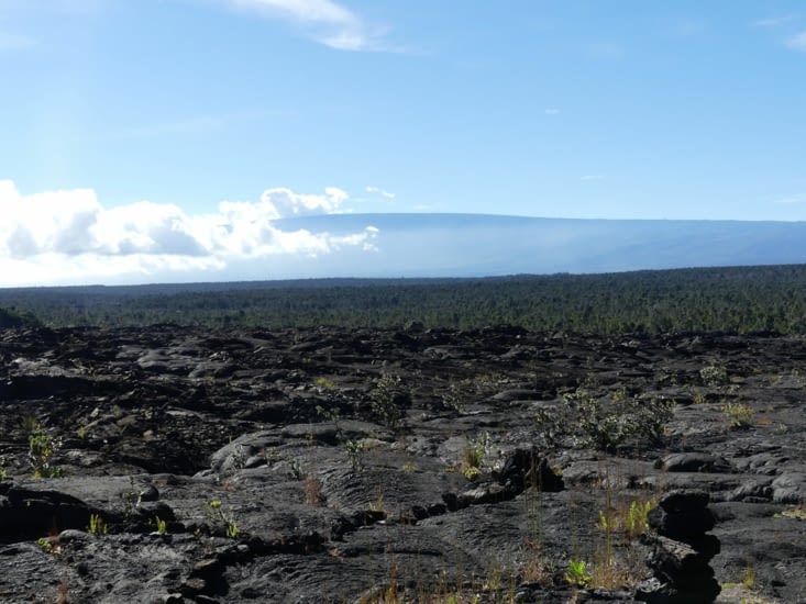 Randonnée sur la lave