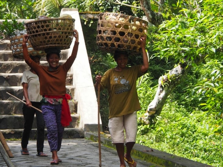 Des porteuses de noix de coco