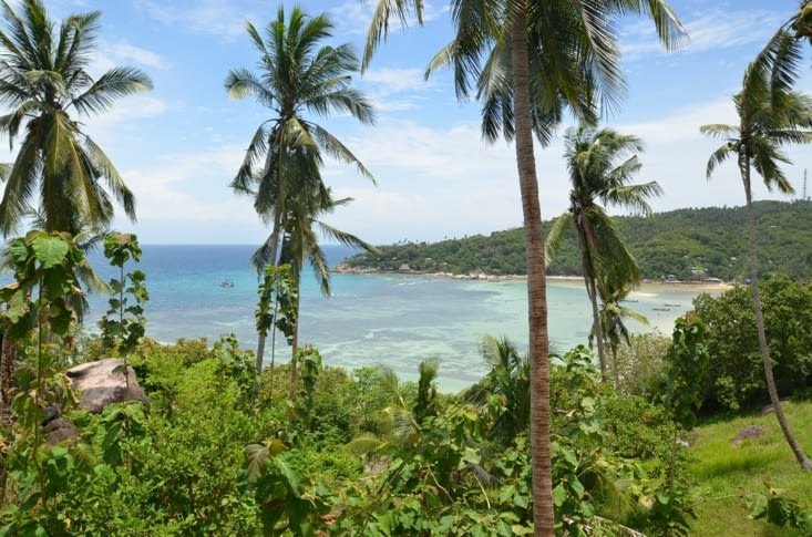 La vue sur Freedom Beach