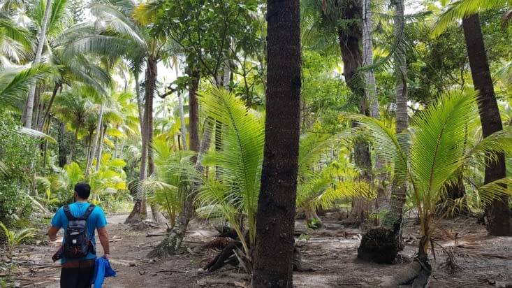 La jungle pour accéder à la rivière