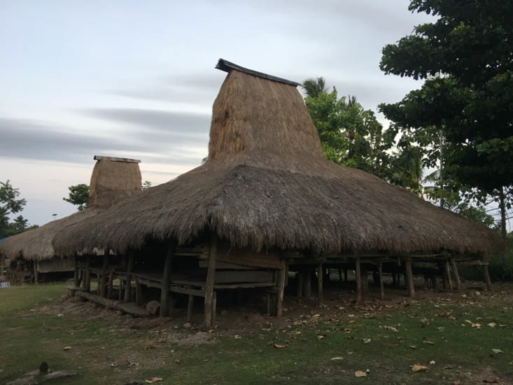 Les maisons typique de Sumba appelees Uma