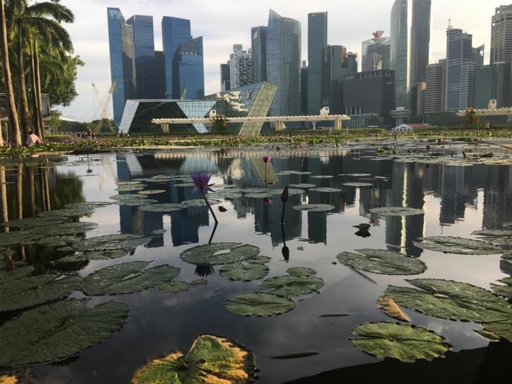 Singapour. Un style ultra moderne côtoyant la nature!