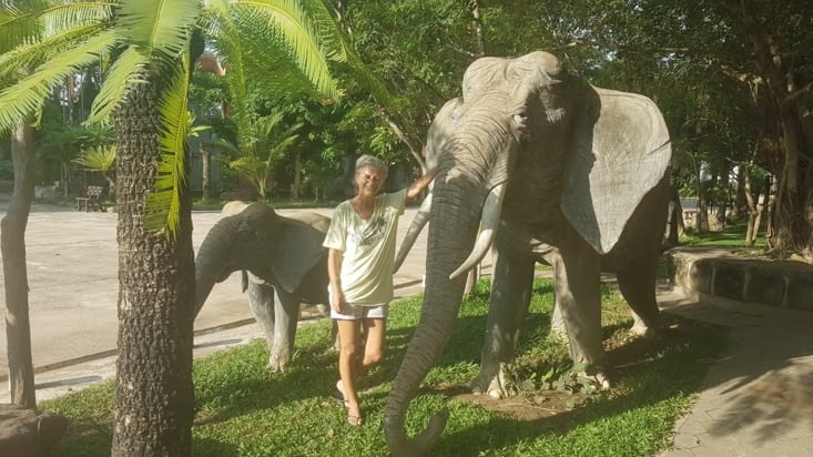 A défaut de vrai elephants … se sera des éléphants en pierre au Cambodge !