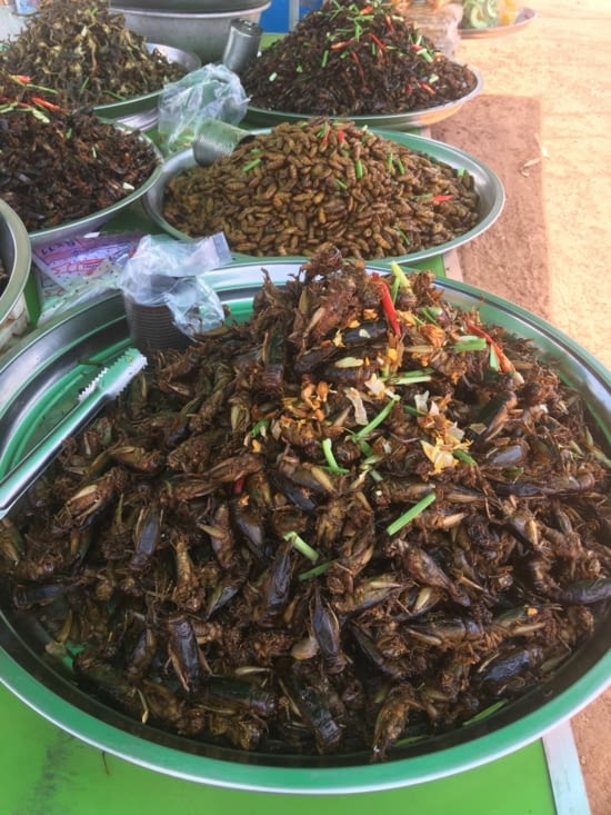 Les insectes en Asie : une tradition … le must : la mygale au Cambodge !
