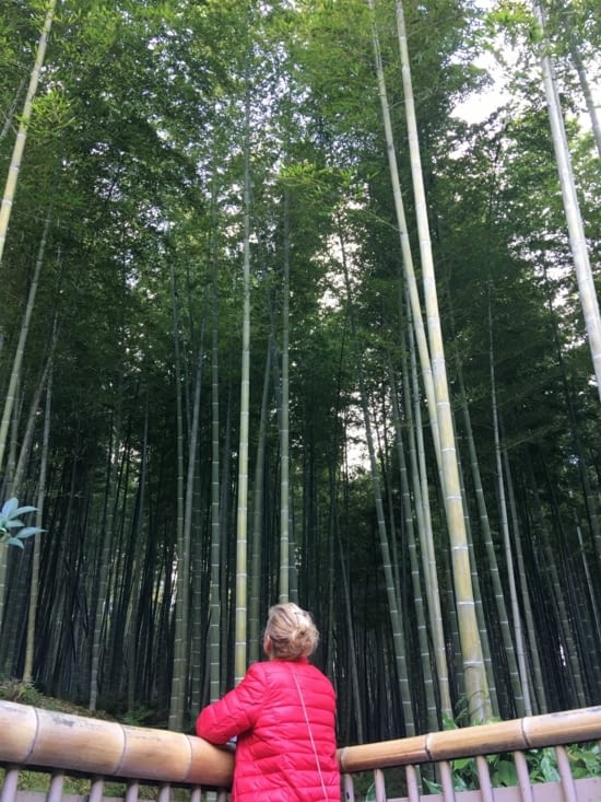 La suite est aussi magique ... la bambouseraie d’Arashiyama