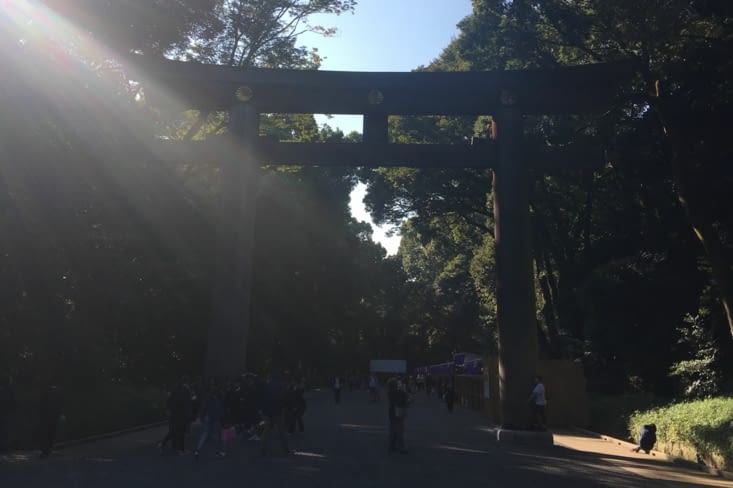 Le temple : le Meiji-Jingu