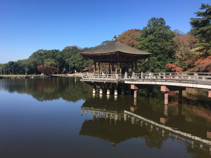 On découvre un parc sur des milliers d’hectares avec des étangs, des temples, des musées
