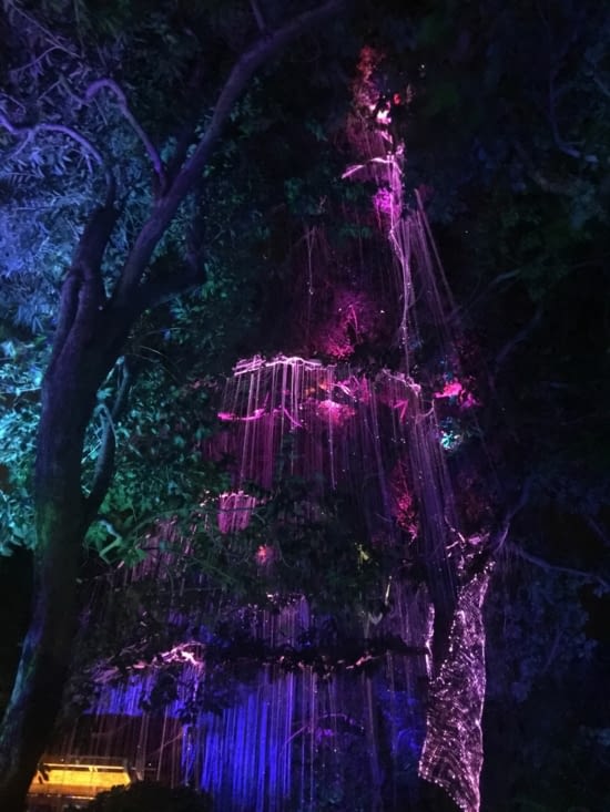 Le parc Tanjung Tokon à Penang