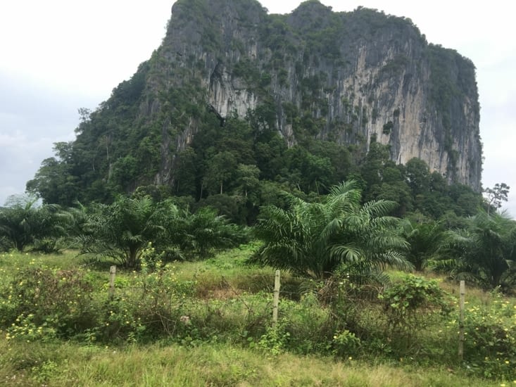 Un temple Indou dans une grotte (la deuxième après Batu Caves)