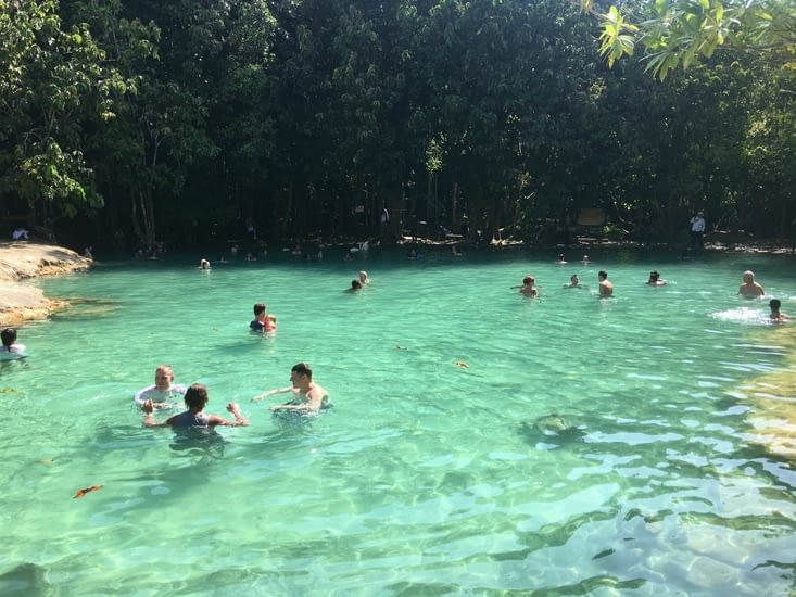 Emerald pool ... eaux chaudes !