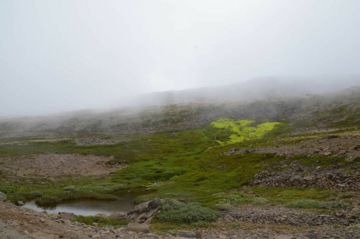 "C'est un peu désolé mais ça a son charme comme paysage" Bon, avouons qu'une heure plus tard on avait de plus en plus de mal à apprécier !