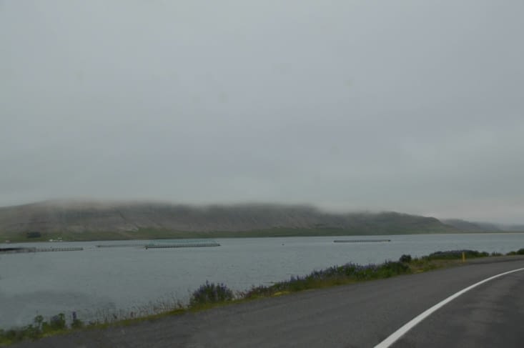 Un élevage de poissons !