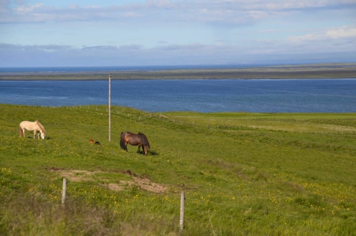 Le long de la rive ouest du fjord Hrutafjörður