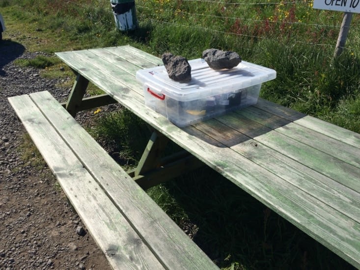 Au détour d'un fjord, une table avec une boîte pleine de... Jumelles en libre service ! Eh oui en face  il y a une colonie de phoques !!