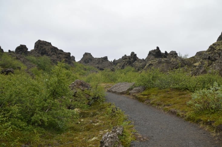 La végétation reprend ses droits... Avant ici il y avait un lac, puis un champ de lave, et maintenant une petite "forêt"