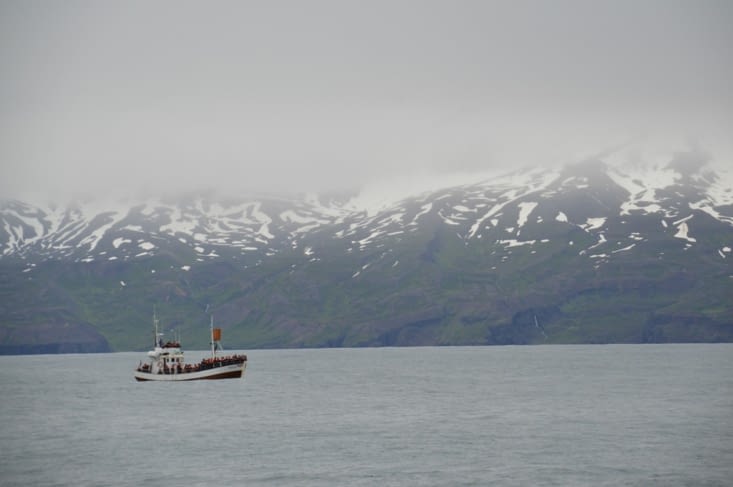 C'est marrant comme la mer semble tranquille !