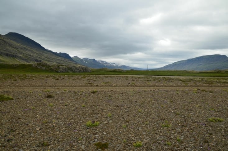 On ne dirait pas que ça grouille de vie au premier coup d'œil !