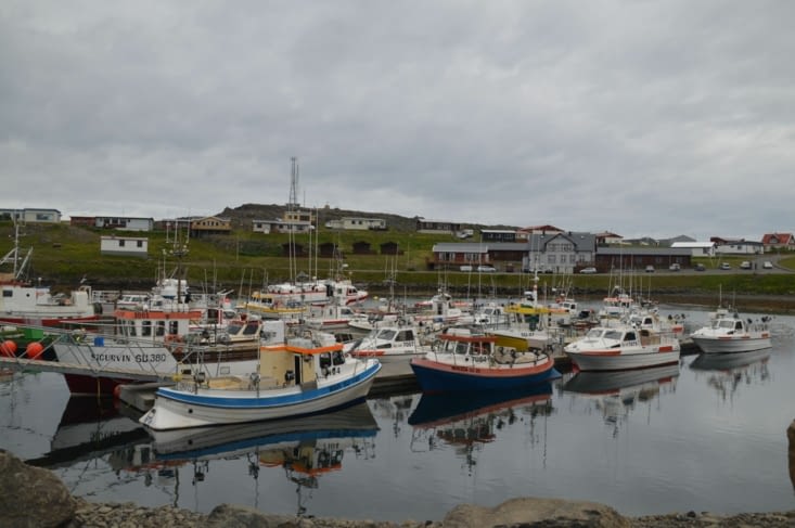 Le port bien rempli de Djupivogur !