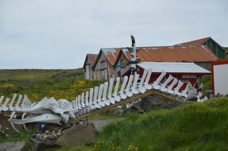 Le musée "des os et du bois-flotté" avec ses squelettes de baleines à l'entrée. Et oui il s'agit bien d'une maison, il y a beaucoup de personnes qui déclarent leur cour "musée" grâce à leur collection personnelle. Dans le village d'avant il s'agissait d'u