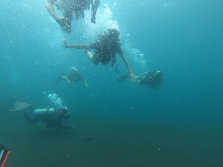 Deuxième plongée dans l'épave Liberty
