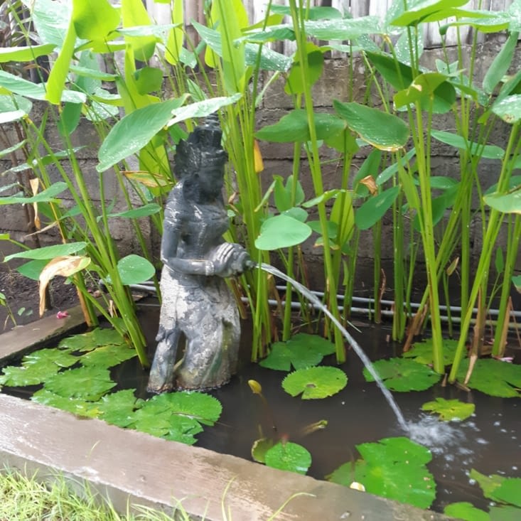 Jardin de notre hébergement