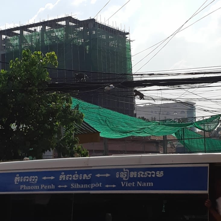 Des singes en plein milieu de la capitale