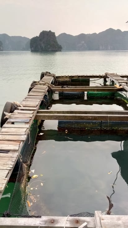 Visite d'une ferme aquatique