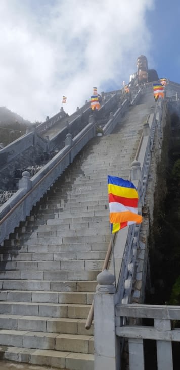 Aperçu des 600 marches montées !