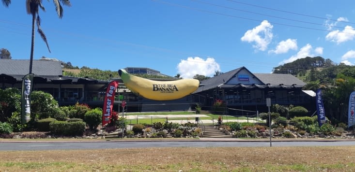 Emblème de coffs harbour, la big banana !