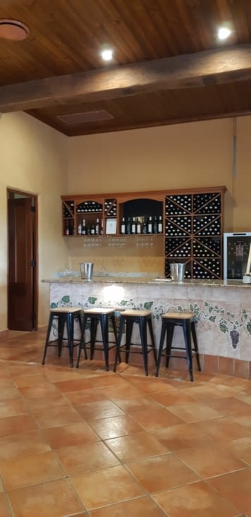 Dégustation au domaine