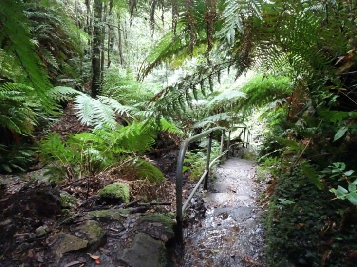 Randonnée dans le canyon