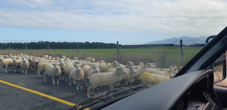 Rencontre sur la route ?