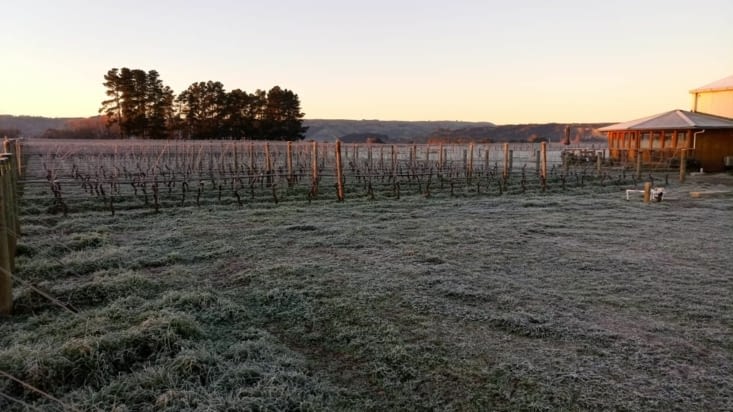 Un jour il pleut, un jour il gèle ?