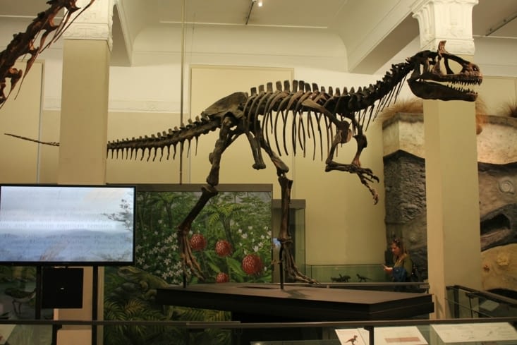 Il y a aussi une partie sur l'évolution des espèces.