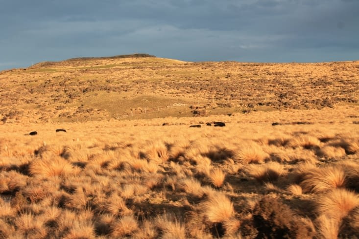 Avec la lumière du soleil couchant.