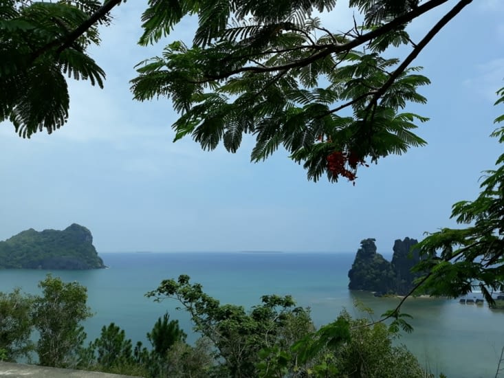 La poule et le Sphinx