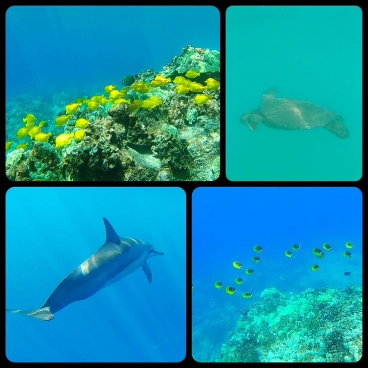 Les fonds marins 2 !