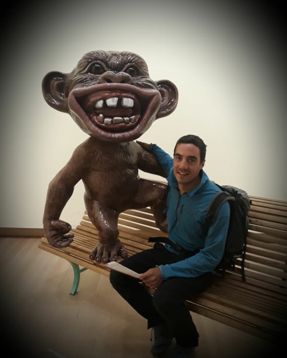 Wellington, la capitale...