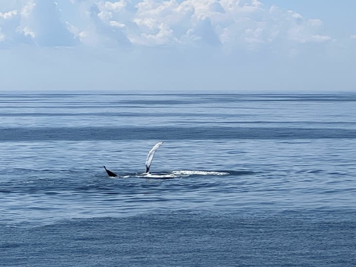 Sur les photos, ça ne rend pas trop, mais j’ai des vidéos magnifiques