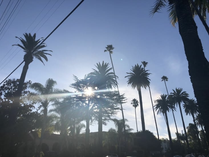 Les rues sont aussi maginiques que les maisons... Palmier, gazon, et beuacoup de soleil