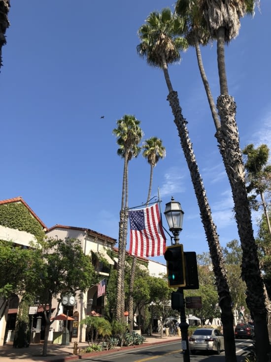 Beaucoup de palmiers