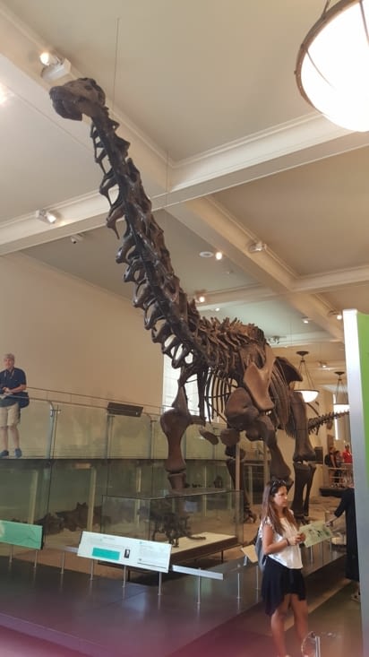 La section où il y avait le plus d'enfants...évidemment !