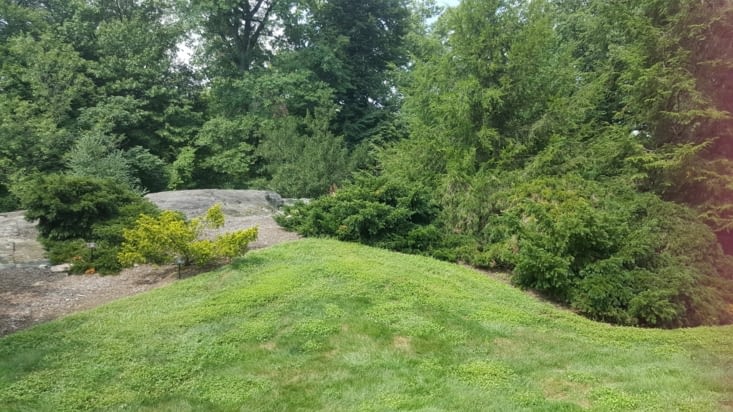 New York Botanical Garden