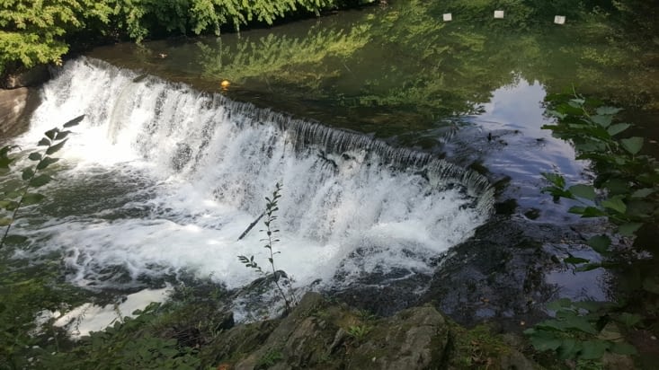 New York Botanical Garden